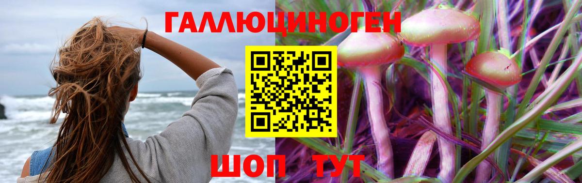Чистополь  Галлюциногенные грибы мицелий  Вход с VPN 